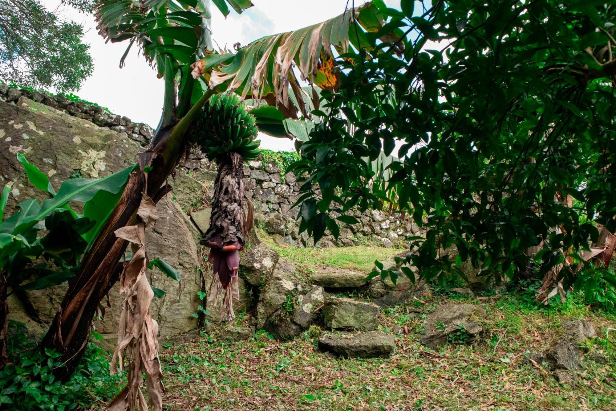 Casa De Campo Franco Da Serra Angra do Heroísmo Extérieur photo