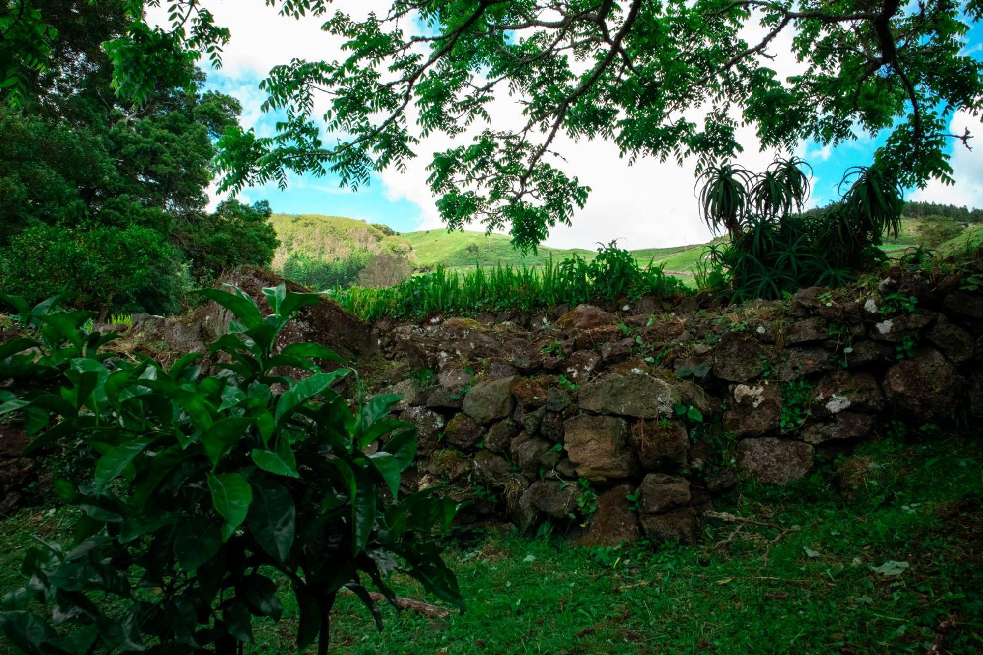 Casa De Campo Franco Da Serra Angra do Heroísmo Extérieur photo